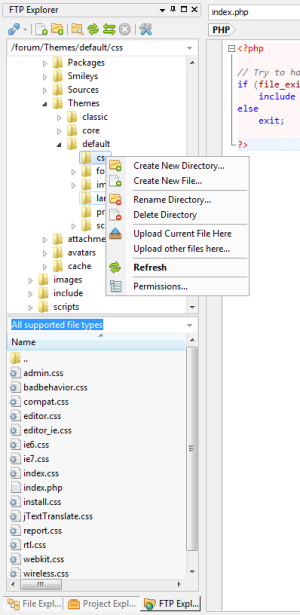FTP Explorer Pane FTP Explorer Pane